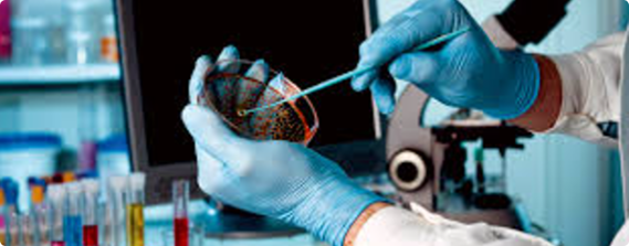 About Khatri Diagnostic